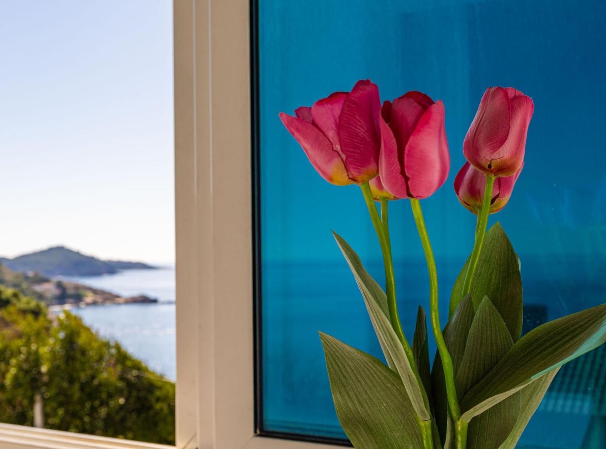 Apartment Butterfly Dubrovnik Exterior foto